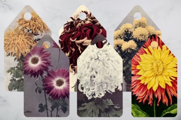 Download Vintage Flowers Tags, Printable Tags - Premium Resources